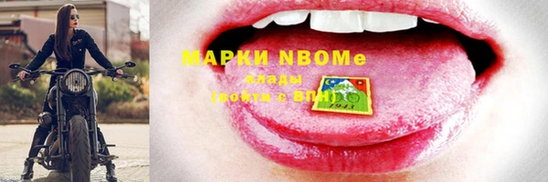 индика Алзамай