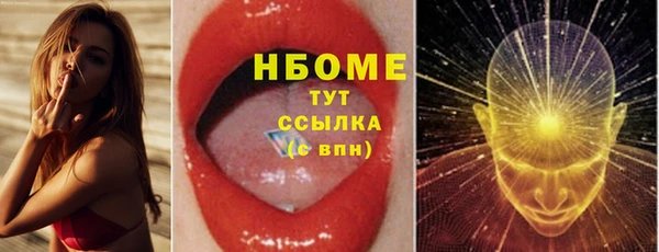 индика Алзамай