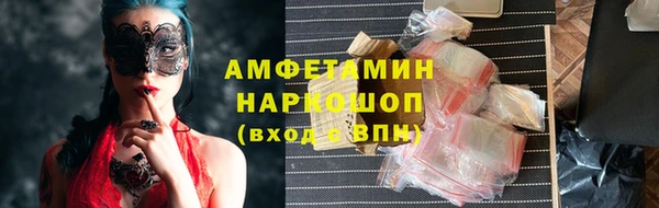 индика Алзамай