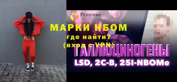 индика Алзамай