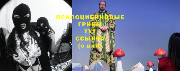 индика Алзамай