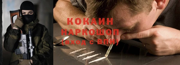 индика Алзамай