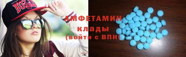 индика Алзамай