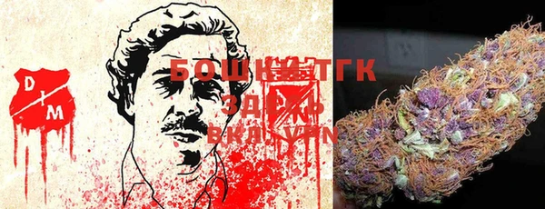 индика Алзамай