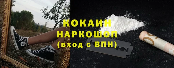 индика Алзамай
