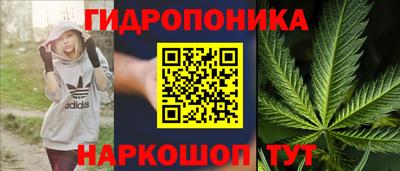 ГАЛЛЮЦИНОГЕННЫЕ ГРИБЫ Волгодонск