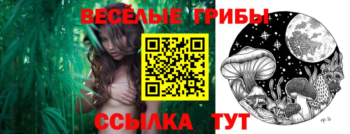 Галлюциногенные грибы Magic Shrooms Коряжма