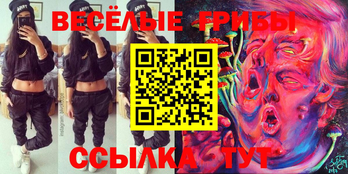 Коряжма  Псилоцибиновые грибы GOLDEN TEACHER  Вход с VPN 